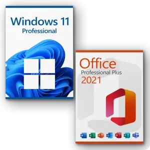 Microsoft Office/Windows